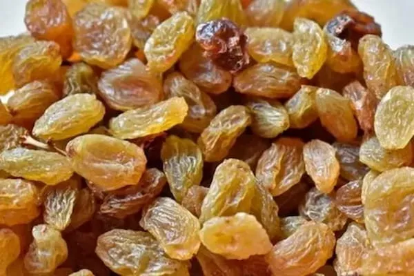 خرید و لیست قیمت کشمش زرد با بهترین کیفیت