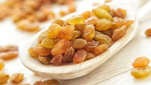 خرید و قیمت جدیدترین انواع کشمش طلایی
